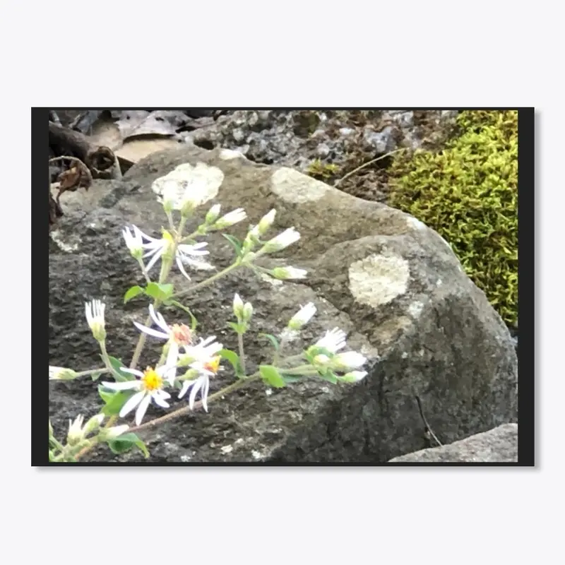 Stone Flowers