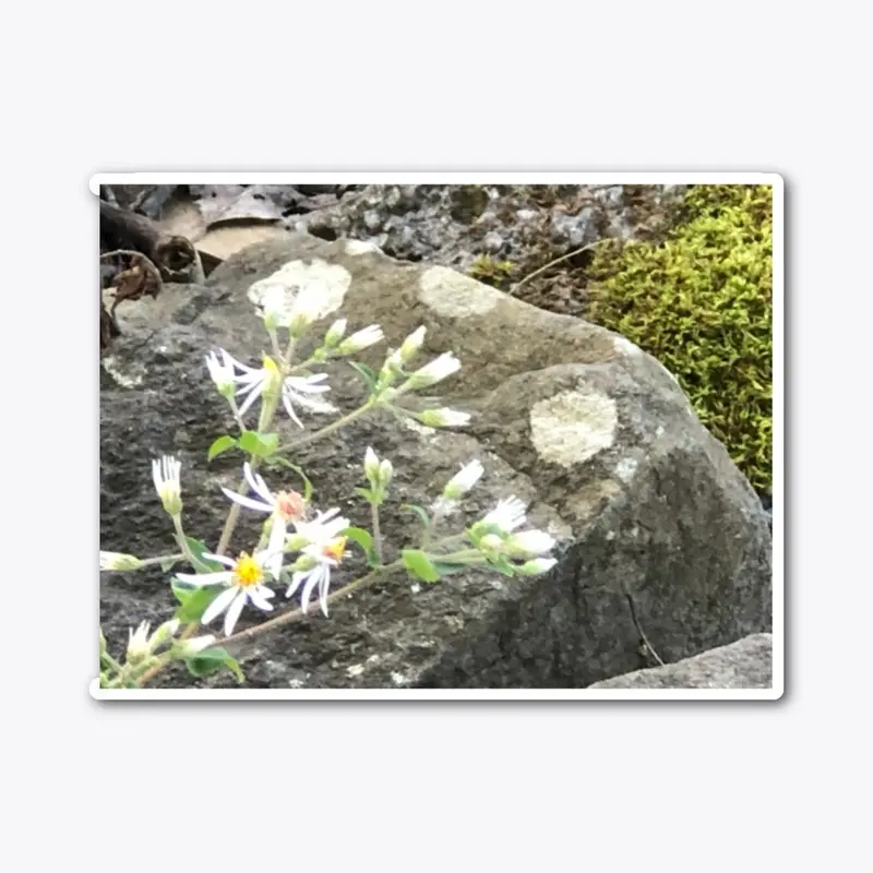 Stone Flowers